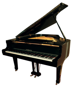 Piano medaillon